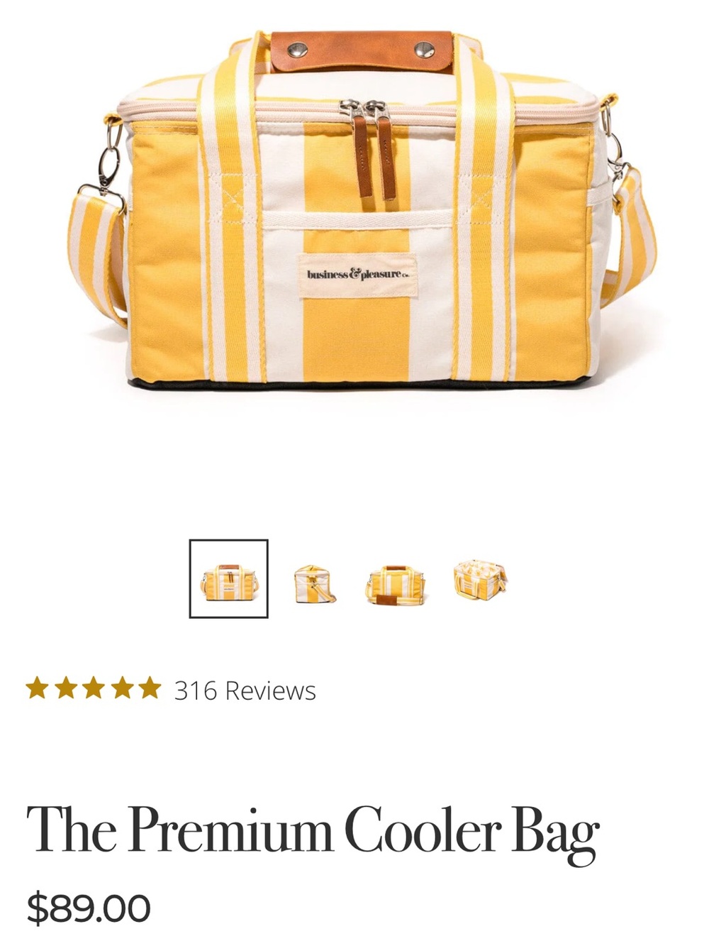 Business & Pleasure Cooler/Lunchkit